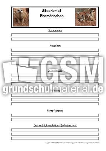 Erdmännchen-Steckbriefvorlage.pdf